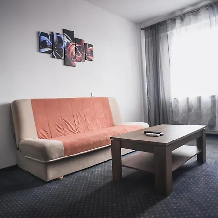 Petroshani Srl Petroşani